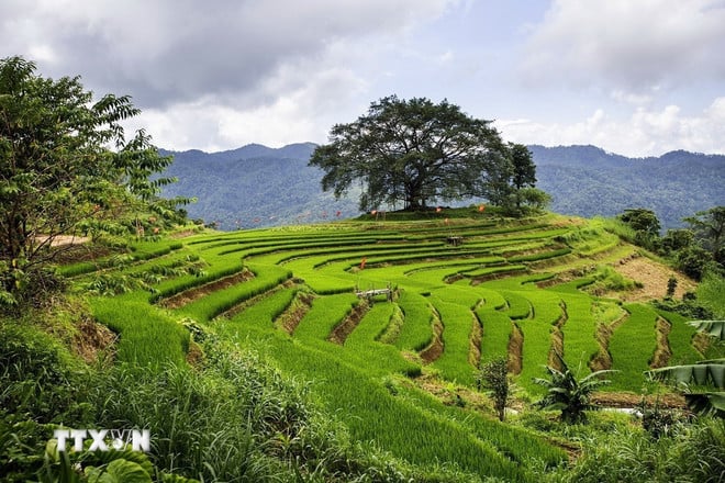 ttxvn-du-lich-cong-dong-1.jpg