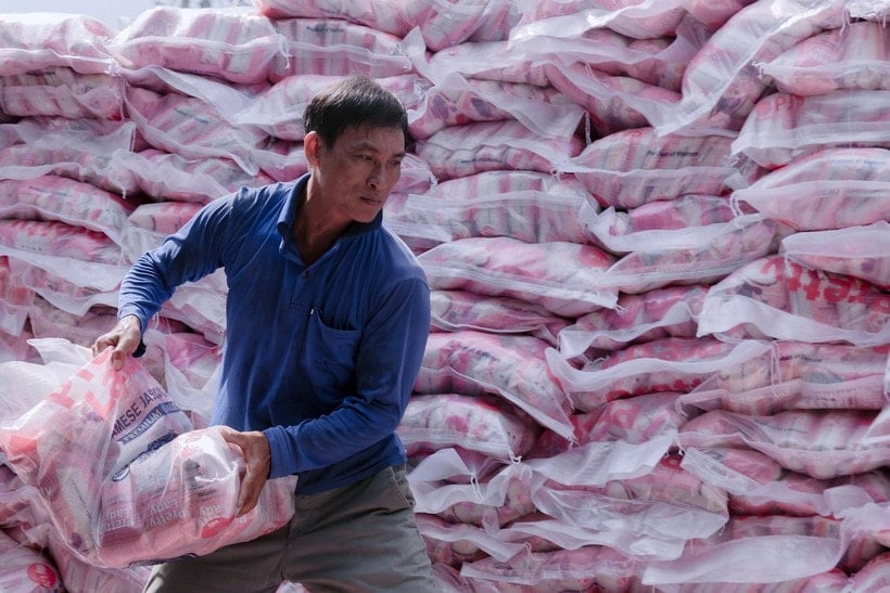 米はアンザン省の主要輸出品の一つです。（写真：Van Sy/VNA）