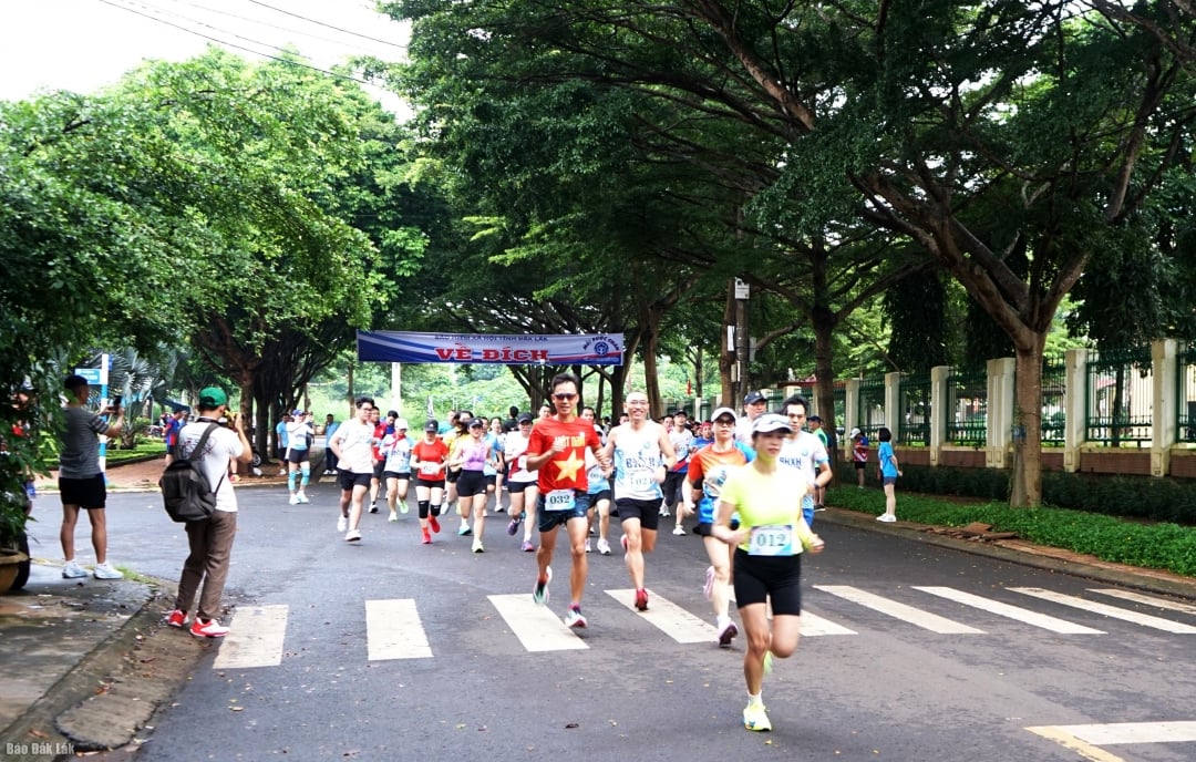 Athleten treten beim 7-km-Lauf an