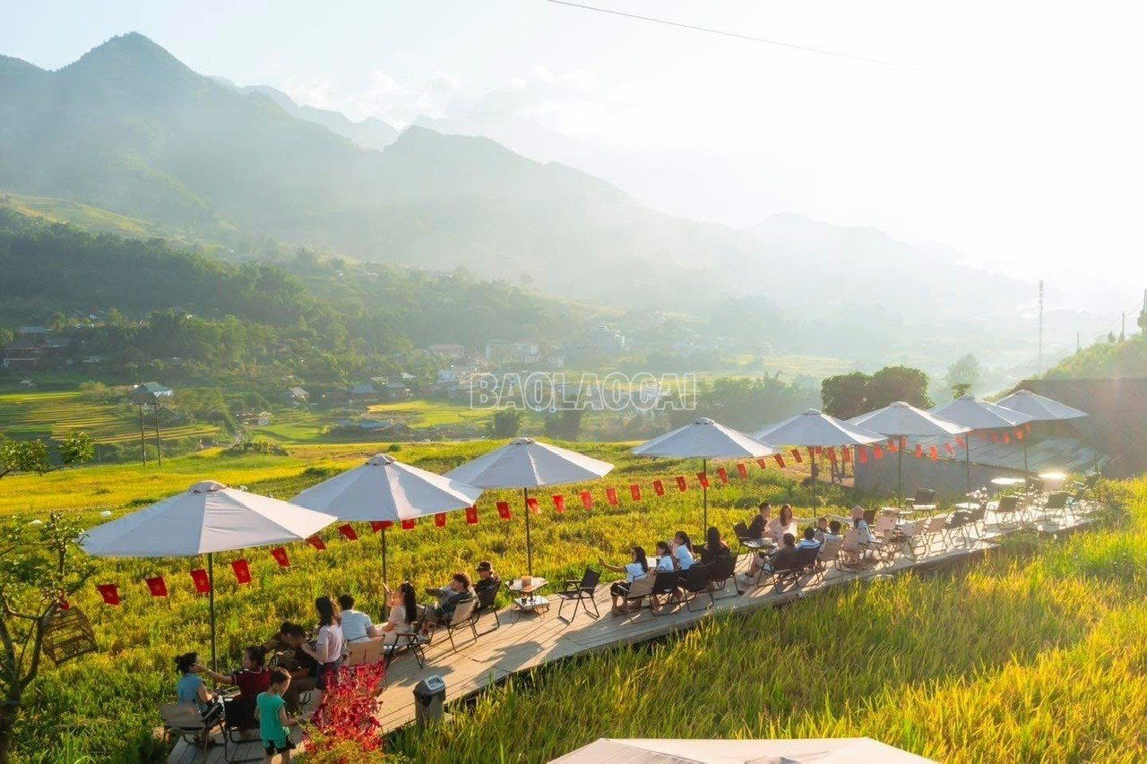 baolaocai-c_z7035952451156-f9d6857c46b27b12cdbd3edf4395e48f.jpg
