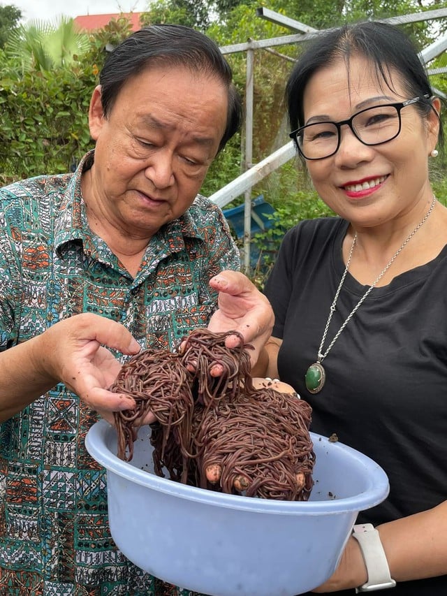 នារីជើងចាស់ ក្លាយជាអ្នកមានពីដង្កូវនាង - រូបថត ១.