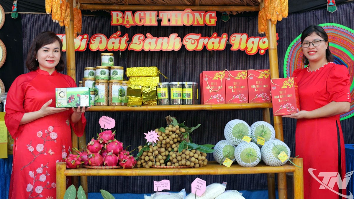 គំរូផលិតកម្មប្រកបដោយប្រសិទ្ធភាពនាំមកនូវផលិតផលកសិកម្មសរីរាង្គស្អាត និងស្តង់ដារ OCOP ដល់ឃុំ Bach Thong។
