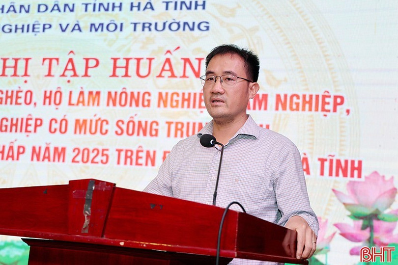 image-3.jpg