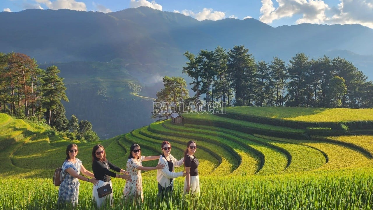 baolaocai-c_z7035952354195-e1a35dd5c714d7be3c781bac4ffa5b90.jpg