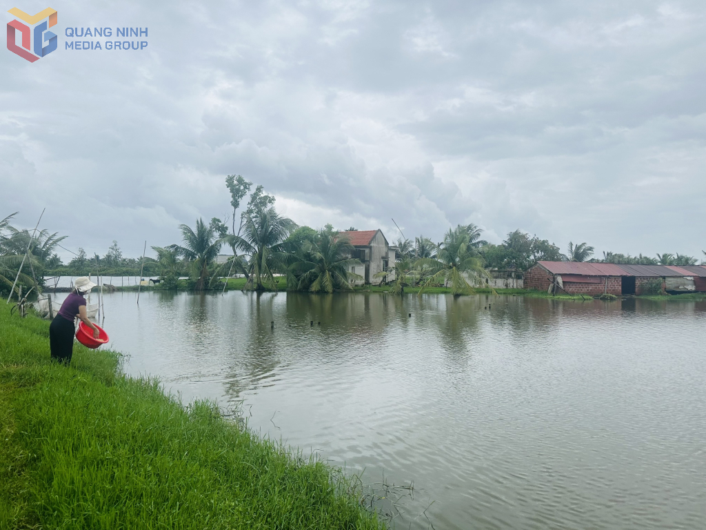 day-manh-cho-ay-capital-nong-nghiep-nong-thon.jpg
