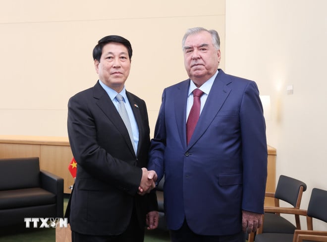 ttxvn-chu-tich-nuoc-luong-cuong-gap-tong-thong-tajikistan-8290080.jpg
