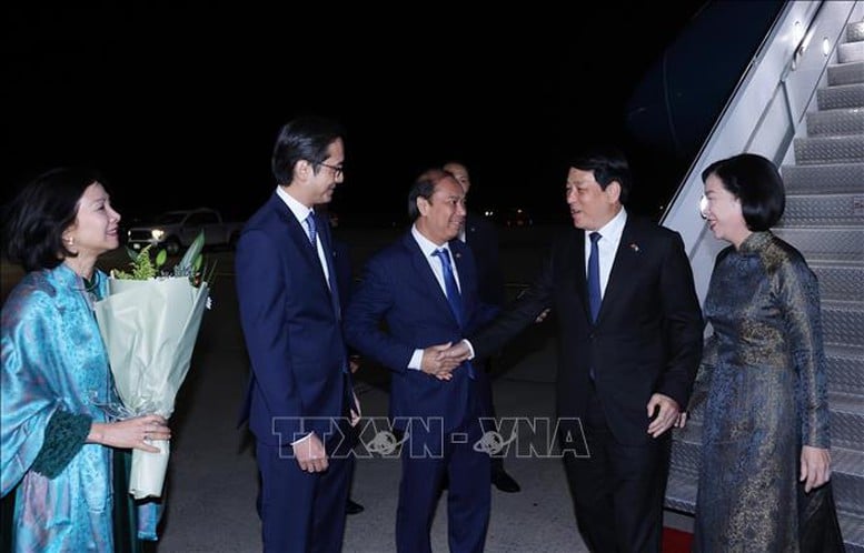 ប្រធានរដ្ឋ Luong Cuong មកដល់ទីក្រុង New York ដើម្បីចូលរួមសប្តាហ៍កម្រិតខ្ពស់នៃសម័យប្រជុំលើកទី 80 នៃមហាសន្និបាតអង្គការសហប្រជាជាតិ - រូបថតទី 2 ។