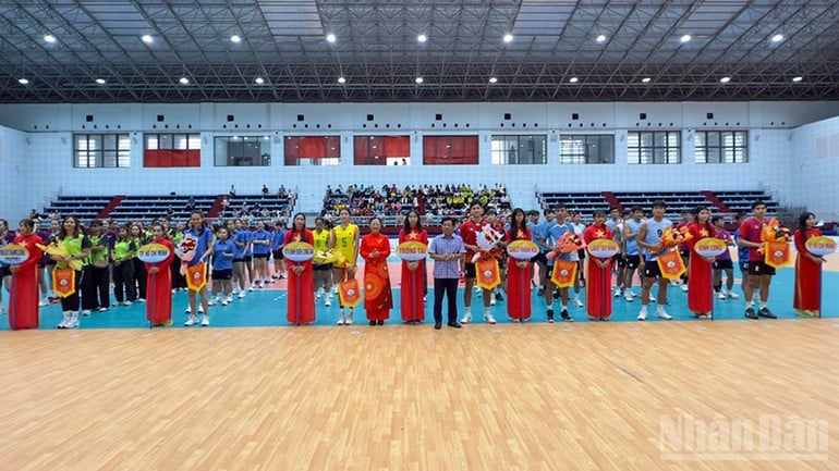 ndo_br_anh-2-pct-tinh-trao-hoa-va-co.jpg