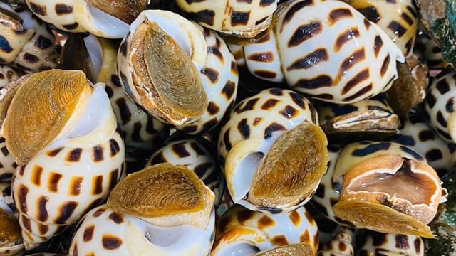 Cách làm ốc hương xào bơ bắp ăn là mê - Ảnh 2.