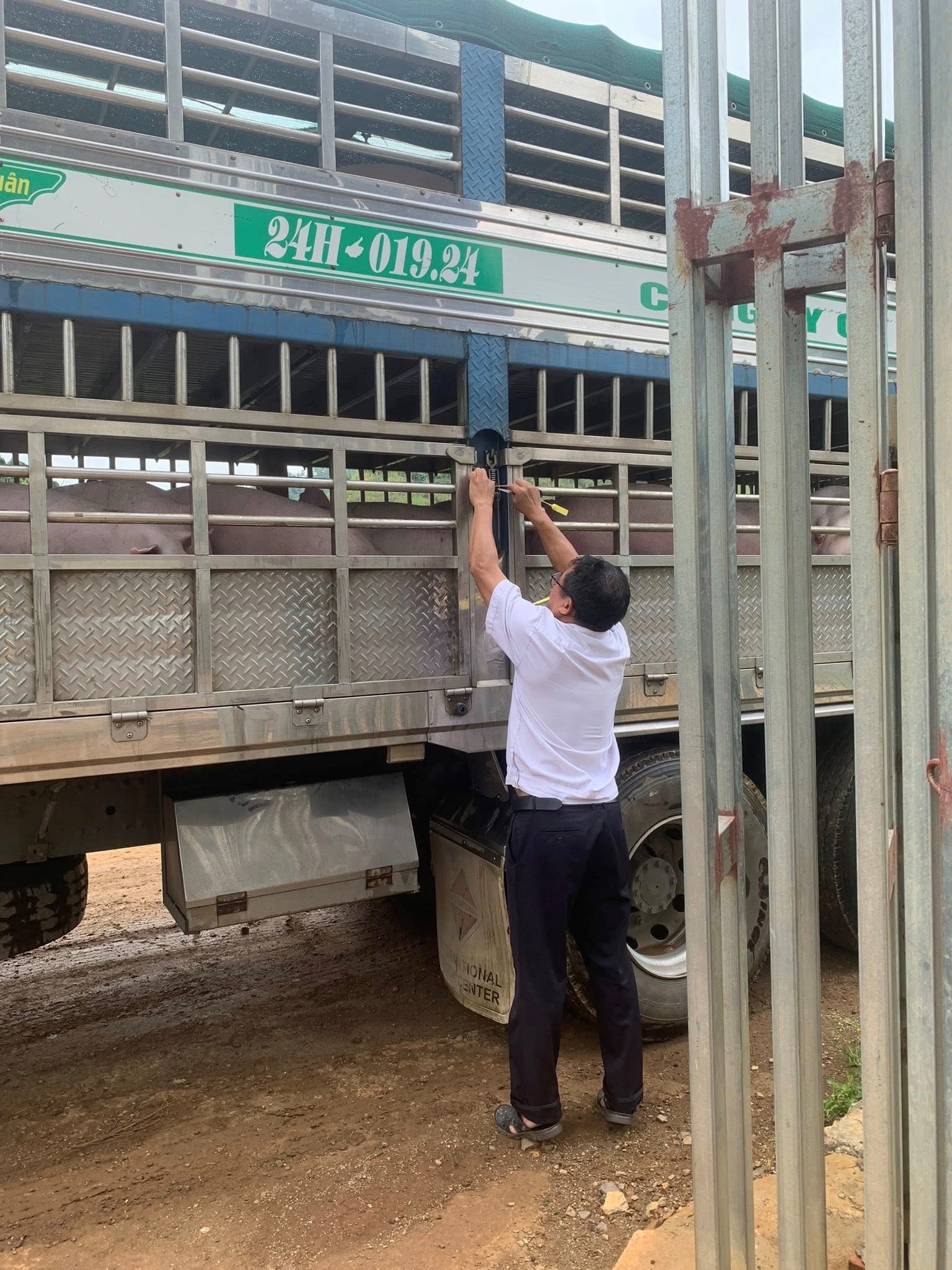 ខ្ញុំជឿអ្នក។