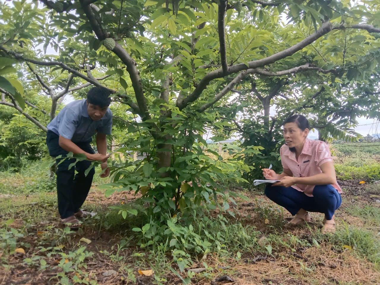 ខ្ញុំជឿអ្នក។