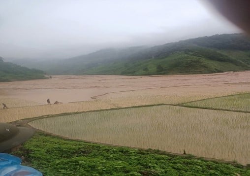 ខ្ញុំជឿអ្នក។