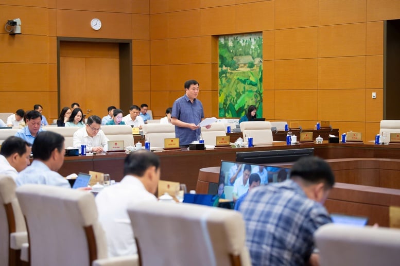 Định vị rõ Luật Thương mại điện tử trong hệ thống pháp luật- Ảnh 1.