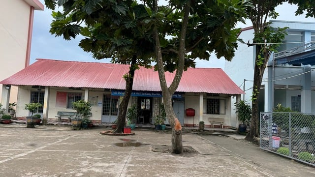 TP.HCM: Trường tiểu học Vĩnh Tân đã có 100 bộ bàn ghế mới - Ảnh 2.
