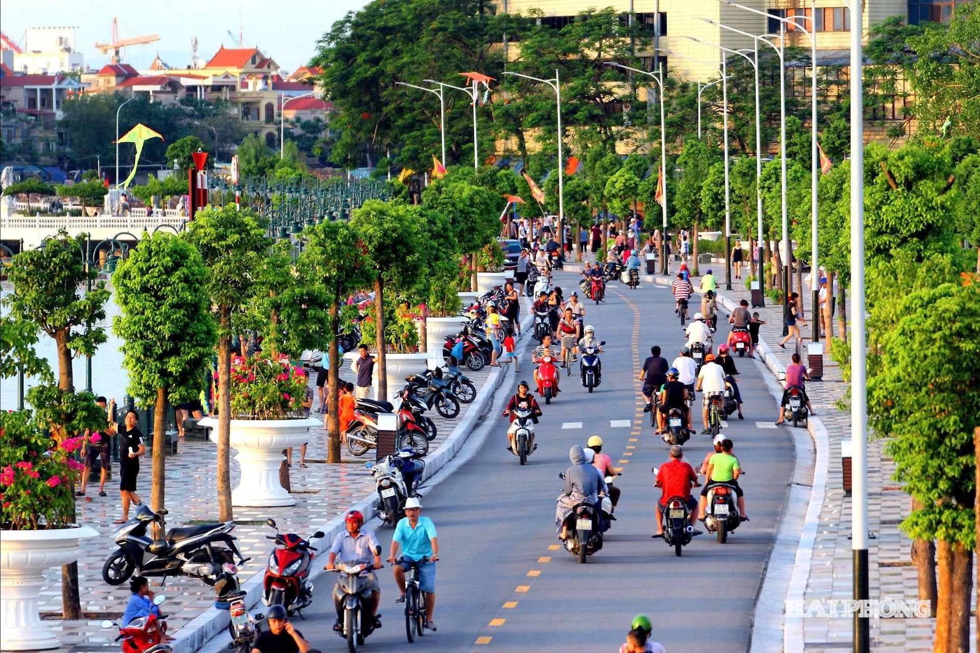 cong-vien-tam-ky.jpg