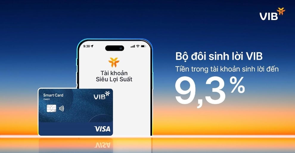 Bộ đôi sinh lời VIB: Giải pháp tối ưu cho tiền nhàn rỗi và tiền chi tiêu - 1
