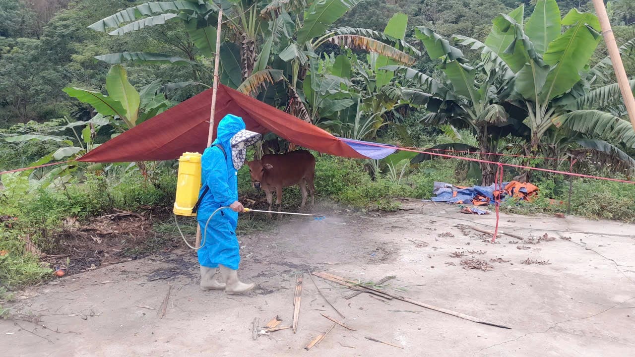 ខ្ញុំជឿអ្នក។