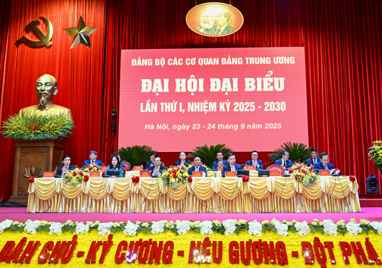 10-3884.jpg