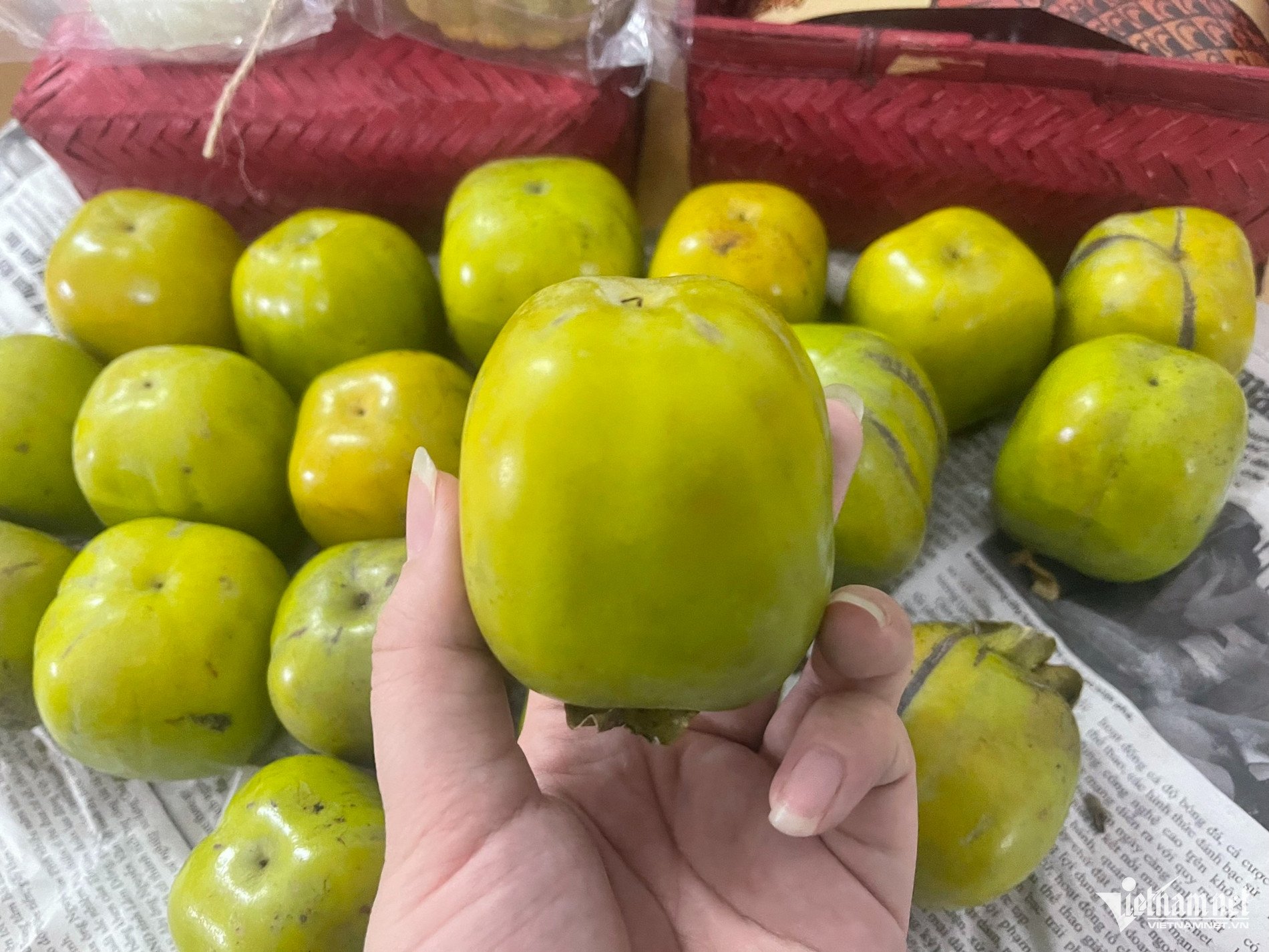 ស្បែកឬស្សីពណ៌ផ្កាឈូក 0.jpg