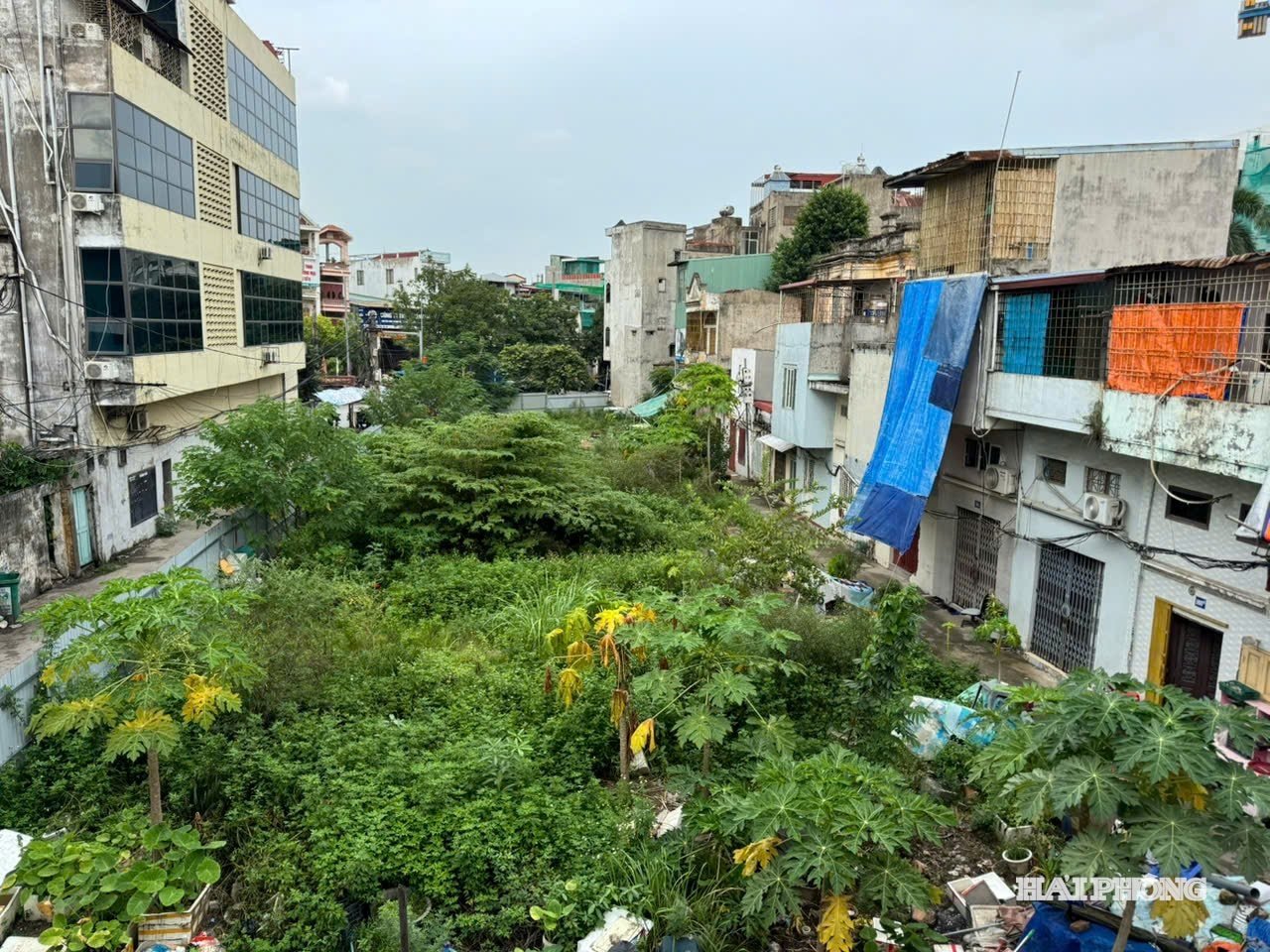 ル・ライ通り47番地（ゴ・クエン区）のフラワーガーデンプロジェクトは、用地取得の問題により着工できていない。写真：BUI LAN