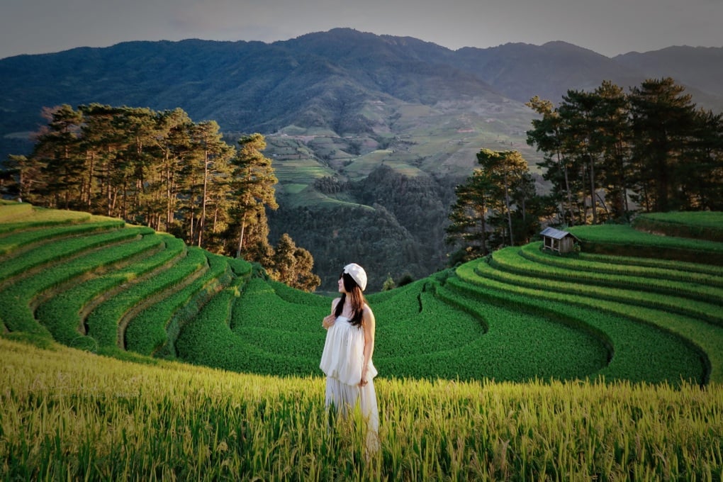 Mù Cang Chải mùa đẹp nhất, nhiều nơi “cháy phòng”, khách đặt trước nửa năm - 5