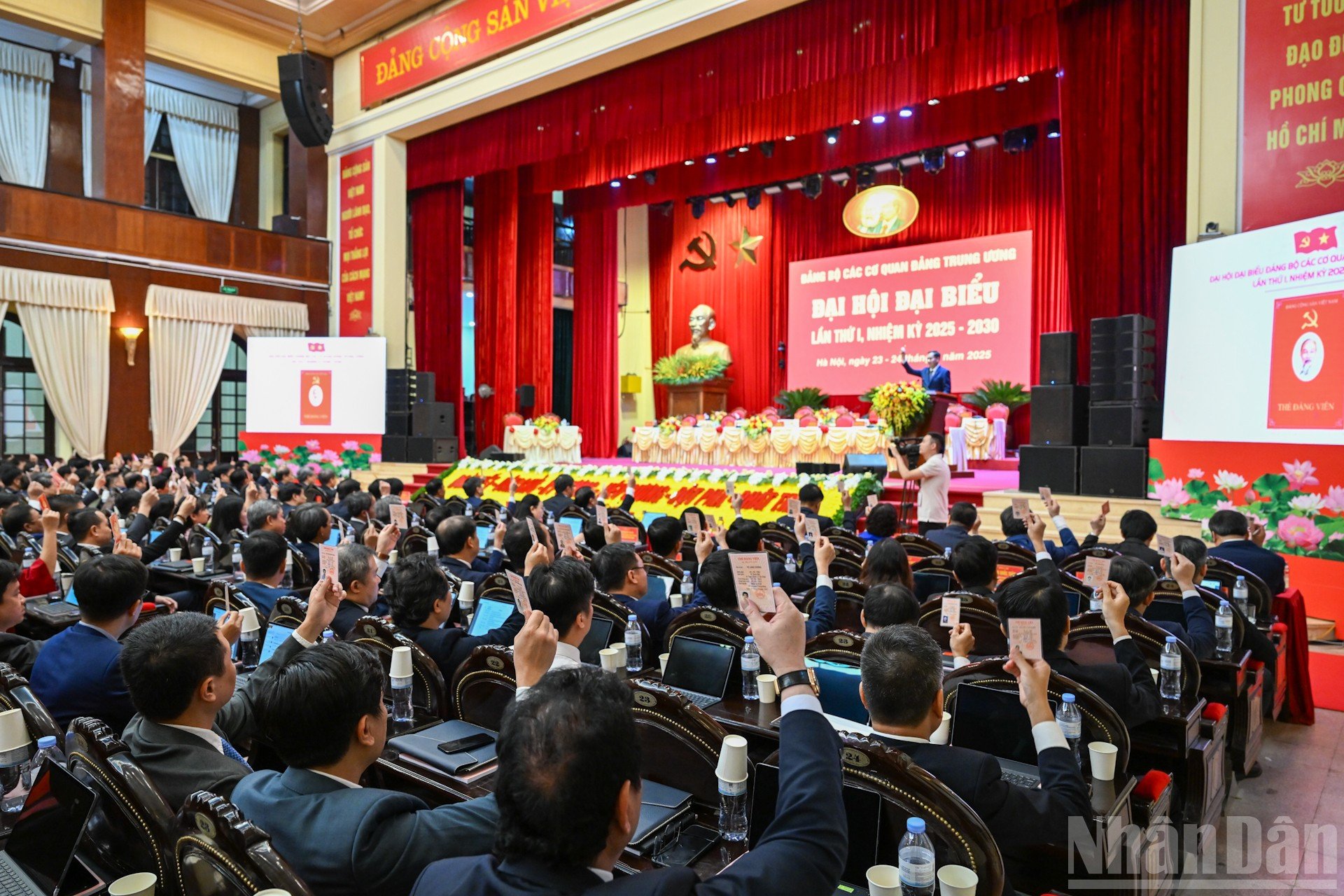 ndo_br_9-3815.jpg