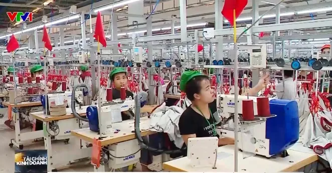 Xuất khẩu dệt may: Từ thâm dụng lao động đến công nghệ cao  - Ảnh 1.