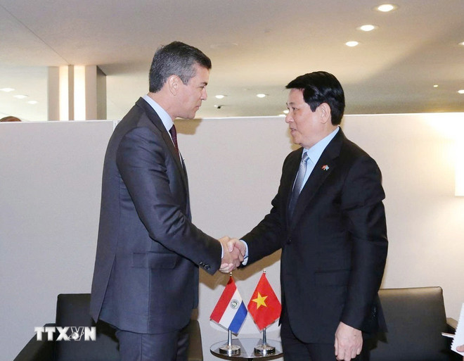 ttxvn-president-of-energy-strengthening-meets-president-of-paraguay-8290189.jpg