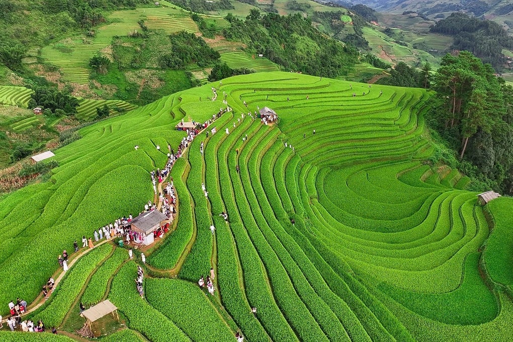 Mù Cang Chải mùa đẹp nhất, nhiều nơi “cháy phòng”, khách đặt trước nửa năm - 3