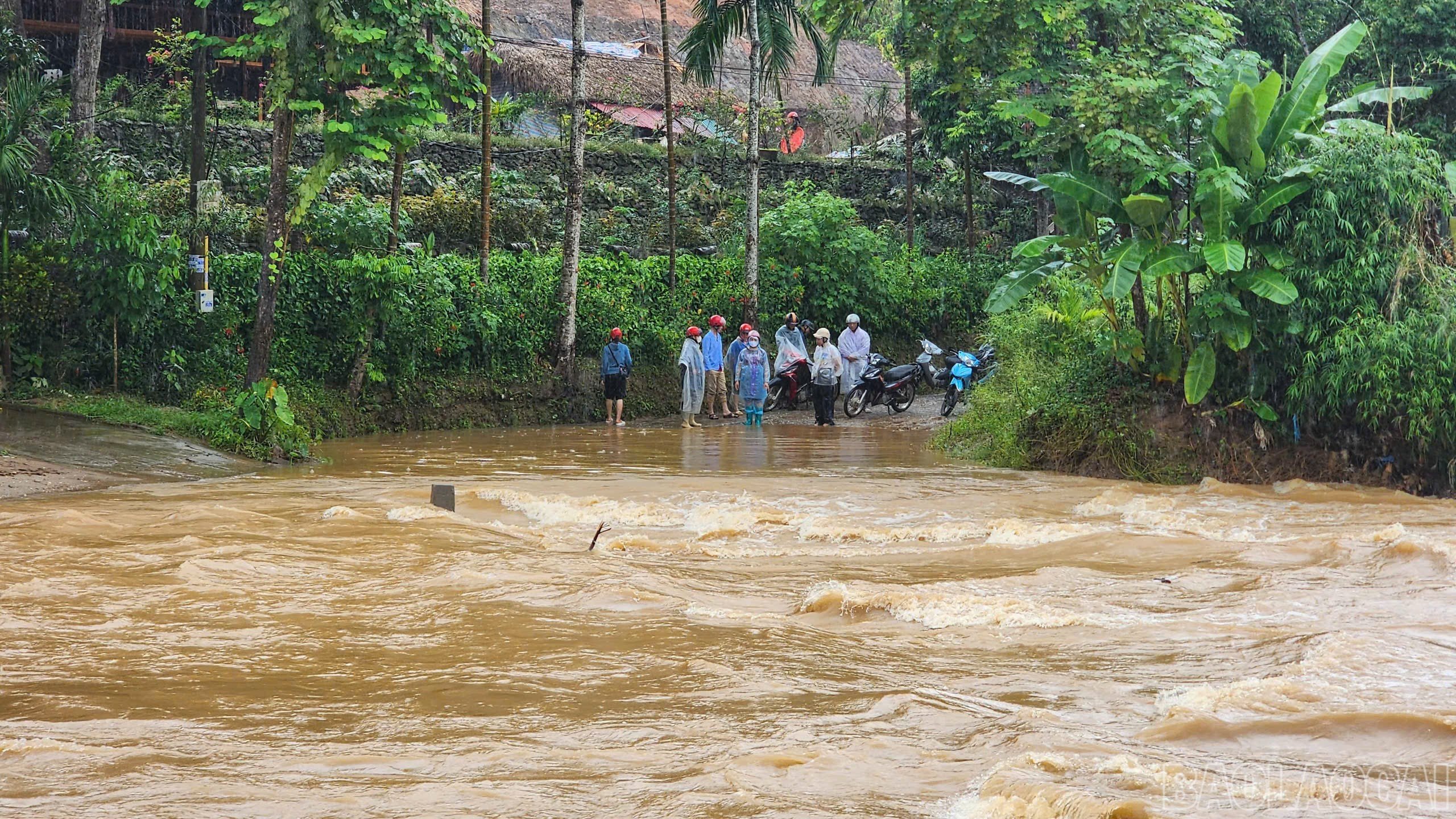 baolaocai-br_nguoidancho1.jpg