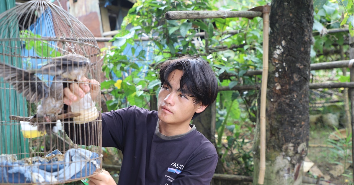 Cán bộ về tận nhà để khai sinh cho thiếu niên 15 tuổi