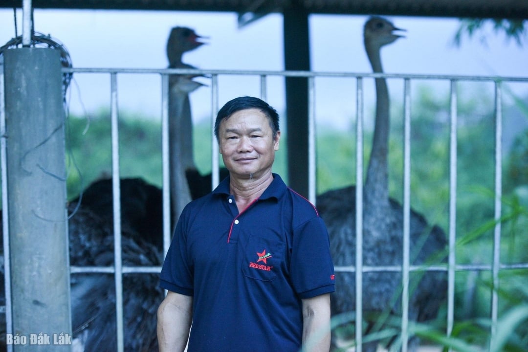 ជីតា