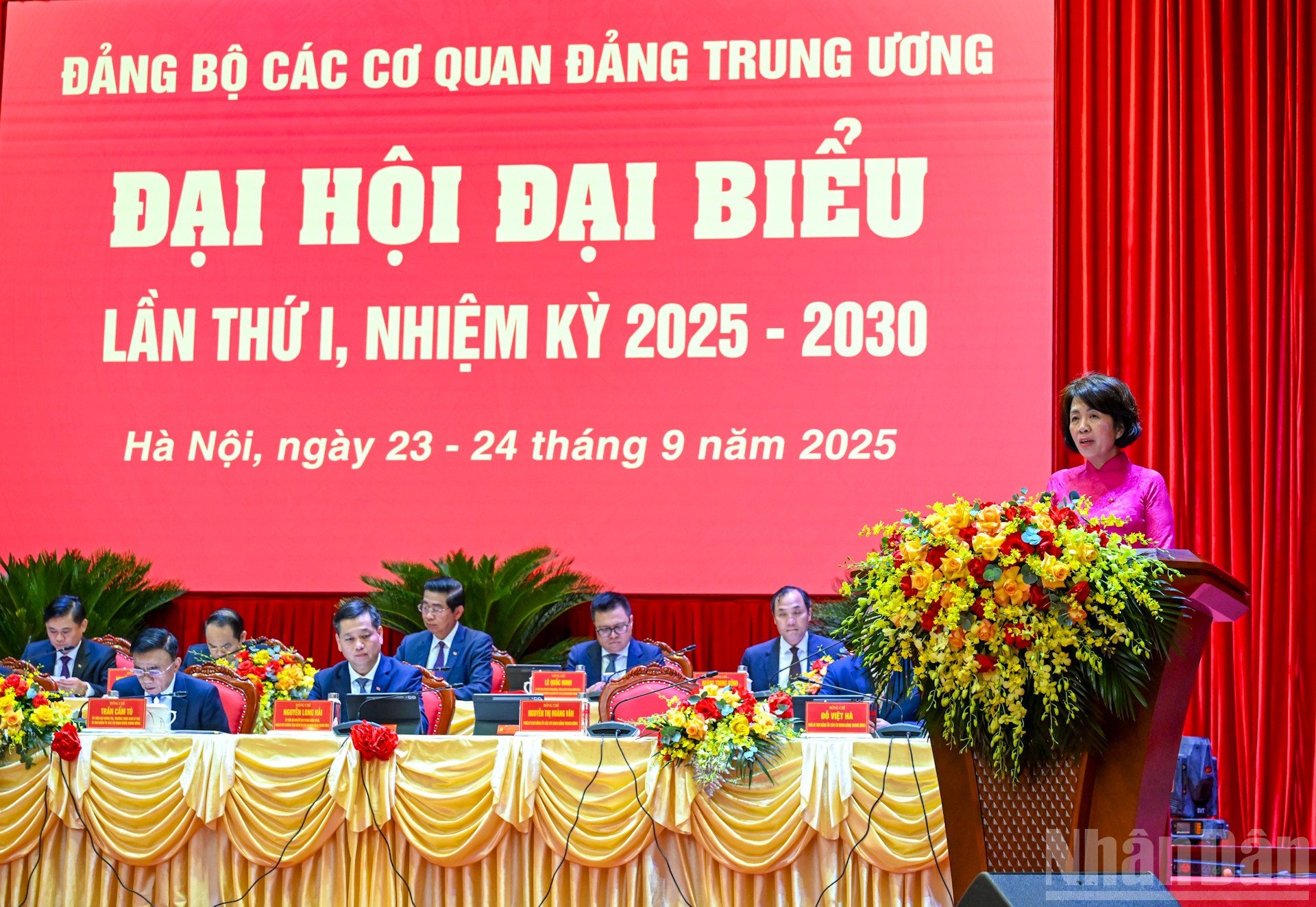 ndo_br_11-3849.jpg
