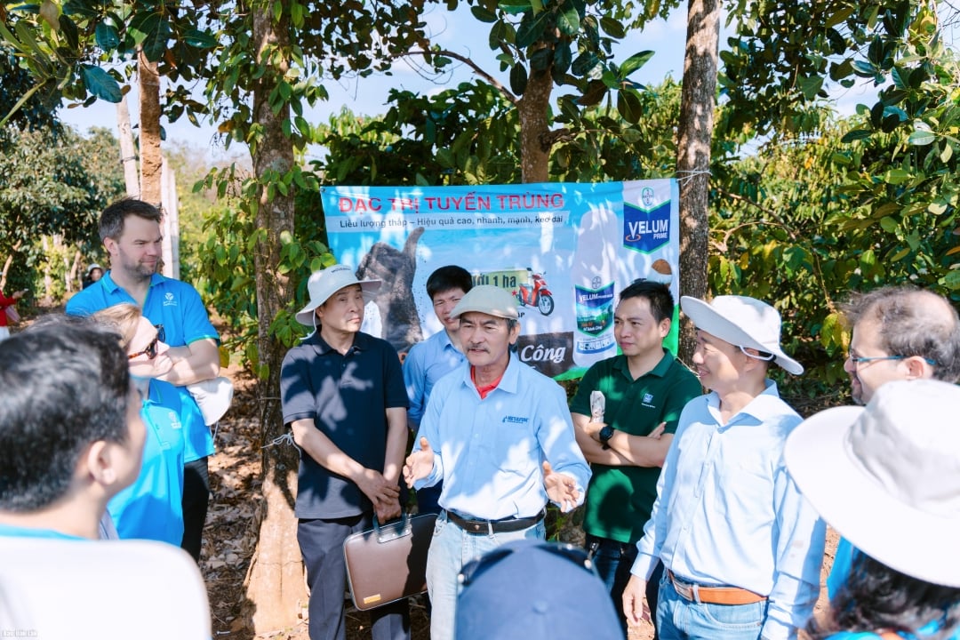 លោក Nguyen An Son