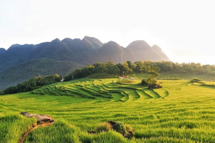 Pu Luong (Thanh Hoa) ក៏ជាកន្លែងដ៏ល្អសម្រាប់មើលរដូវស្រូវទុំផងដែរ។ (រូបភាព៖ FB Tan Tai)