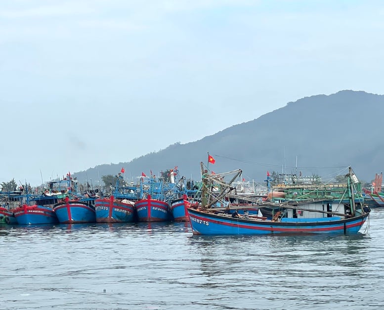 Miền Trung khẩn trương hướng dẫn tàu thuyền tránh trú, ứng phó siêu bão Ragasa- Ảnh 1.