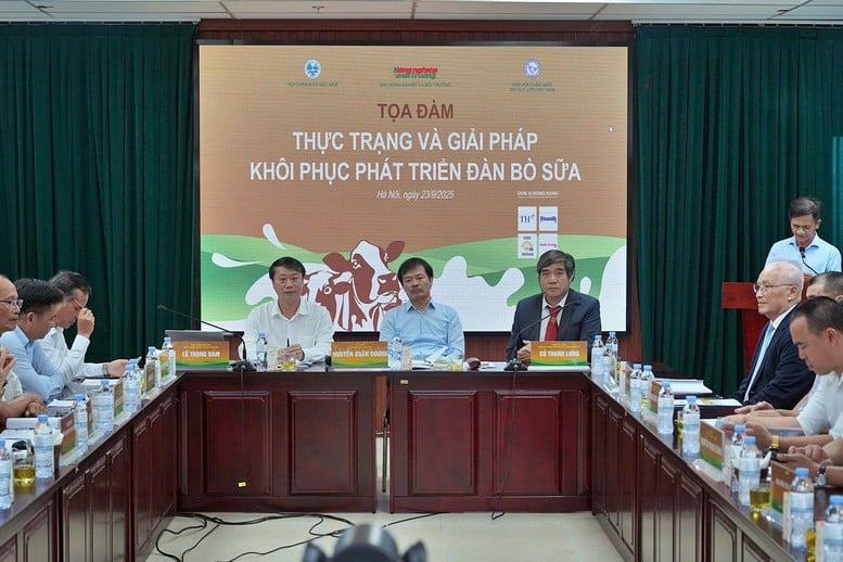 Ngành chăn nuôi bò sữa: Hướng tới chuỗi liên kết khép kín để hợp tác phát triển- Ảnh 1.
