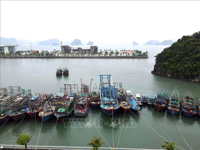 ចំណងជើងរូបថត