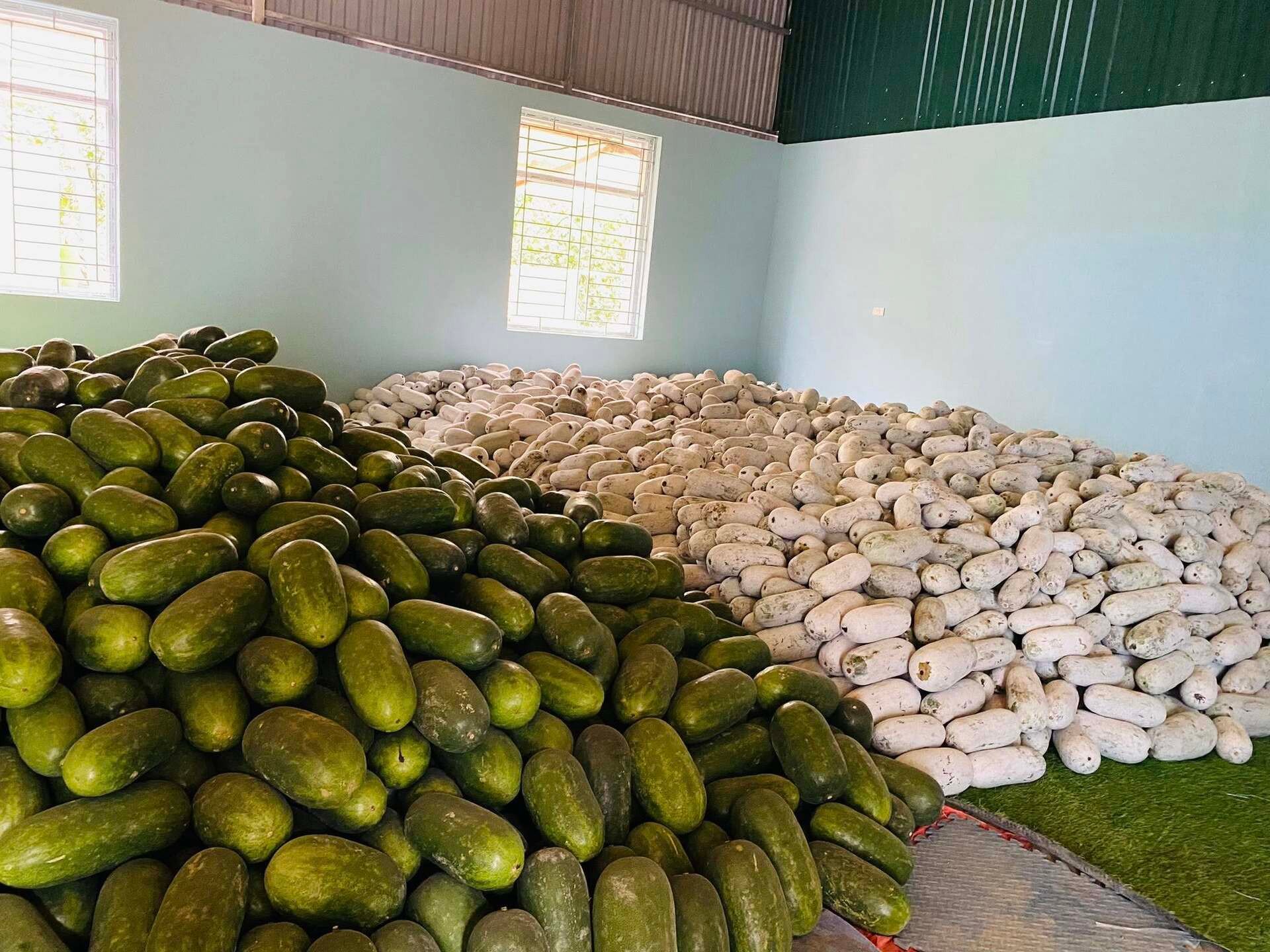 ល្ពៅក្រអូប Ba Be Cooperative Yen Duong.jpg