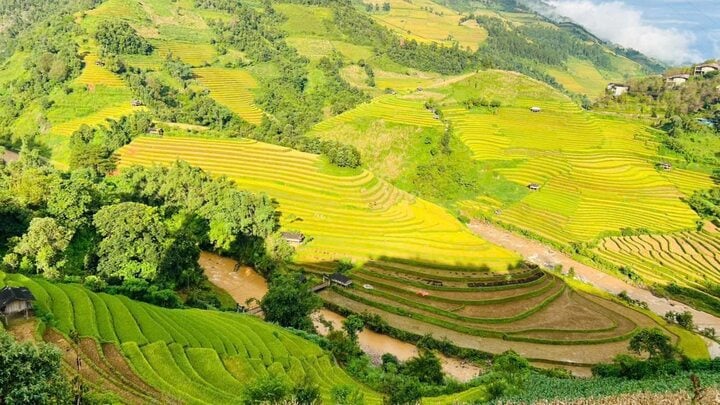 លោកស្រី Tuyet Giang (បុគ្គលិកនៃទីភ្នាក់ងារទេសចរណ៍នៅទីក្រុងហាណូយ) បាននិយាយថា រដូវស្រូវទុំនៅ Mu Cang Chai គឺស្រស់ស្អាតបំផុត ហើយជាមួយនឹងអាកាសធាតុអំណោយផល វាបានទាក់ទាញភ្ញៀវទេសចរយ៉ាងច្រើនកុះករក្នុងប៉ុន្មានថ្ងៃថ្មីៗនេះ ជាពិសេសនៅថ្ងៃចុងសប្តាហ៍។ (រូបថត៖ FB Bui Chien)