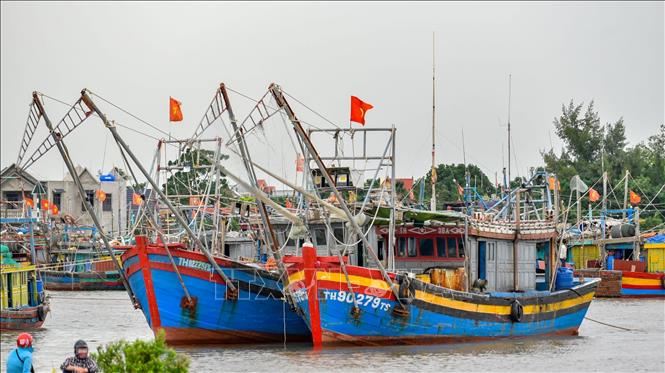 ចំណងជើងរូបថត