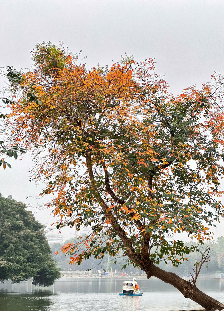 z7040847762129-587d13ed39c04610104a26ea4f8c9d04.jpg