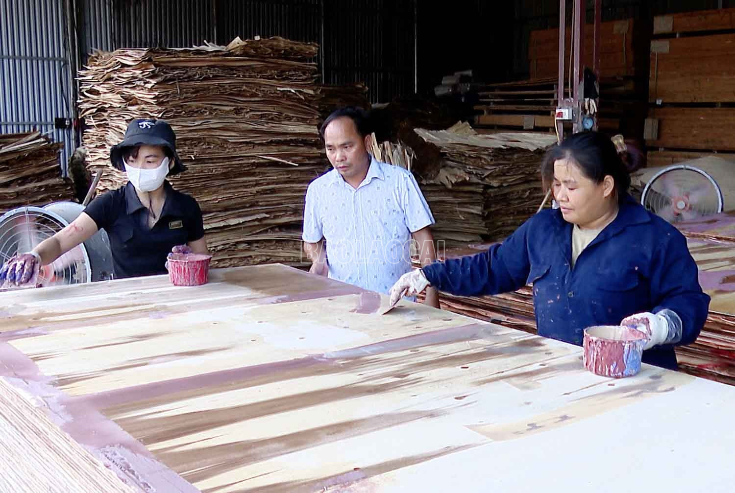 baolaocai-c_anh-cuong.jpg