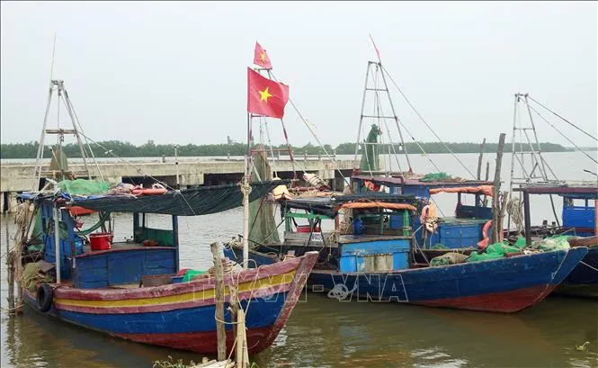 ទូកបានបោះយុថ្កានៅស្ថានីយ៍ត្រួតពិនិត្យព្រំដែន Cua Day នៃស្ថានីយ៍ឆ្មាំព្រំដែន Kim Son ខេត្ត Ninh Binh។ រូបថត៖ VNA