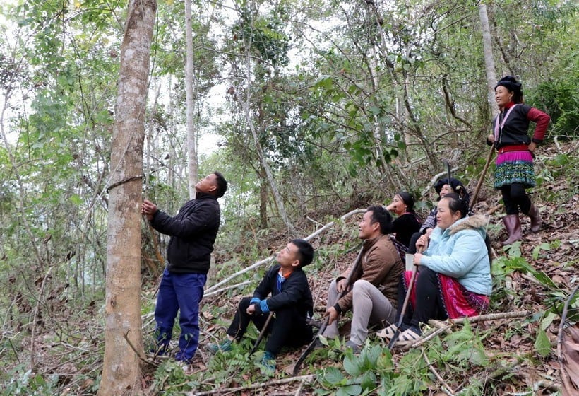 Radost etnických lidí v obci Pha Mu, okres Than Uyen, provincie Lai Chau, vedle lesních stromů. (Foto: Viet Hoang/VNA)