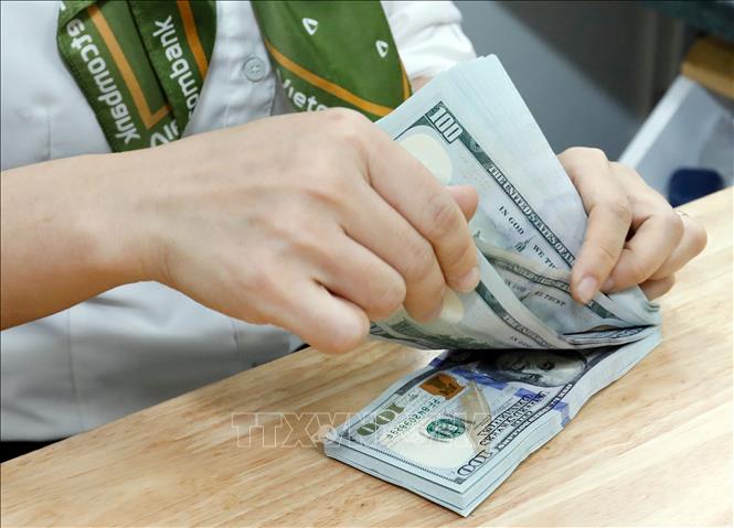 រូបភាព៖ Tran Viet/VNA
