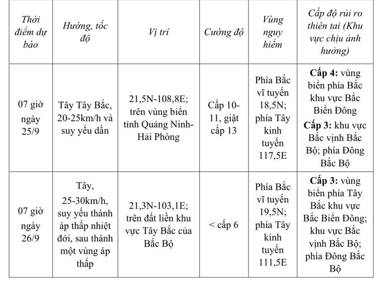 Dự báo tác động của bão
