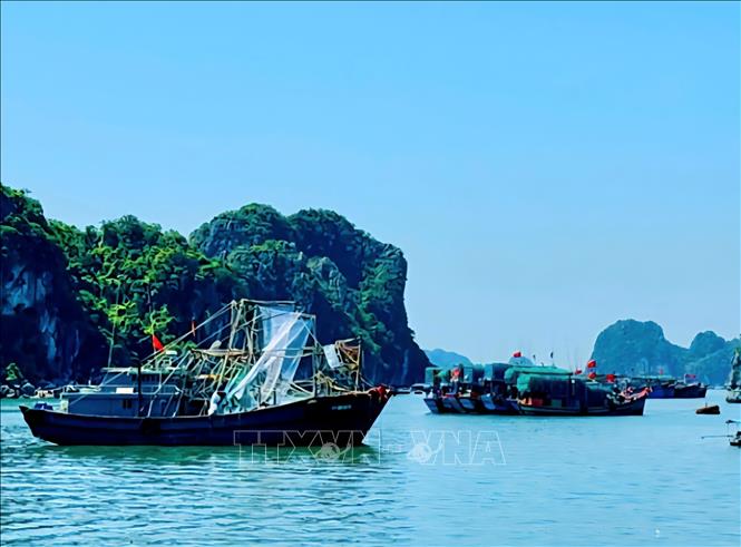 ចំណងជើងរូបថត