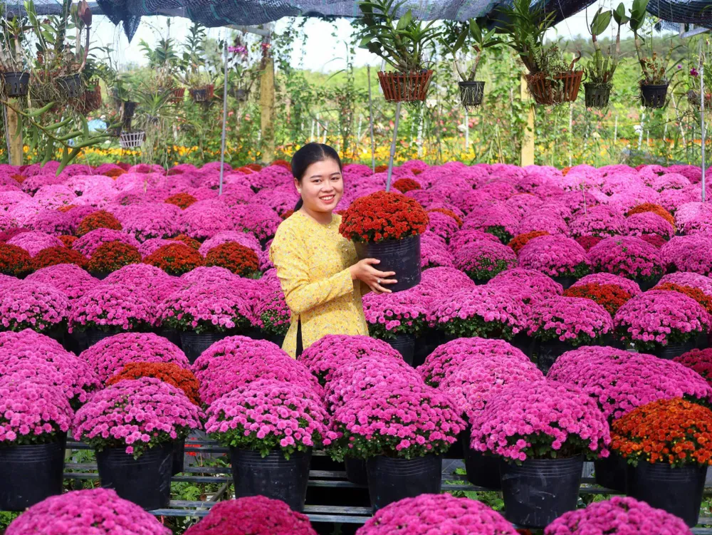 ពិធីបុណ្យផ្កា និងលម្អ Sa Dec លើកទី 2 ឆ្នាំ 2025 នឹងប្រព្រឹត្តទៅចាប់ពីថ្ងៃទី 27 ខែធ្នូ ឆ្នាំ 2025 ដល់ថ្ងៃទី 4 ខែមករា ឆ្នាំ 2026។