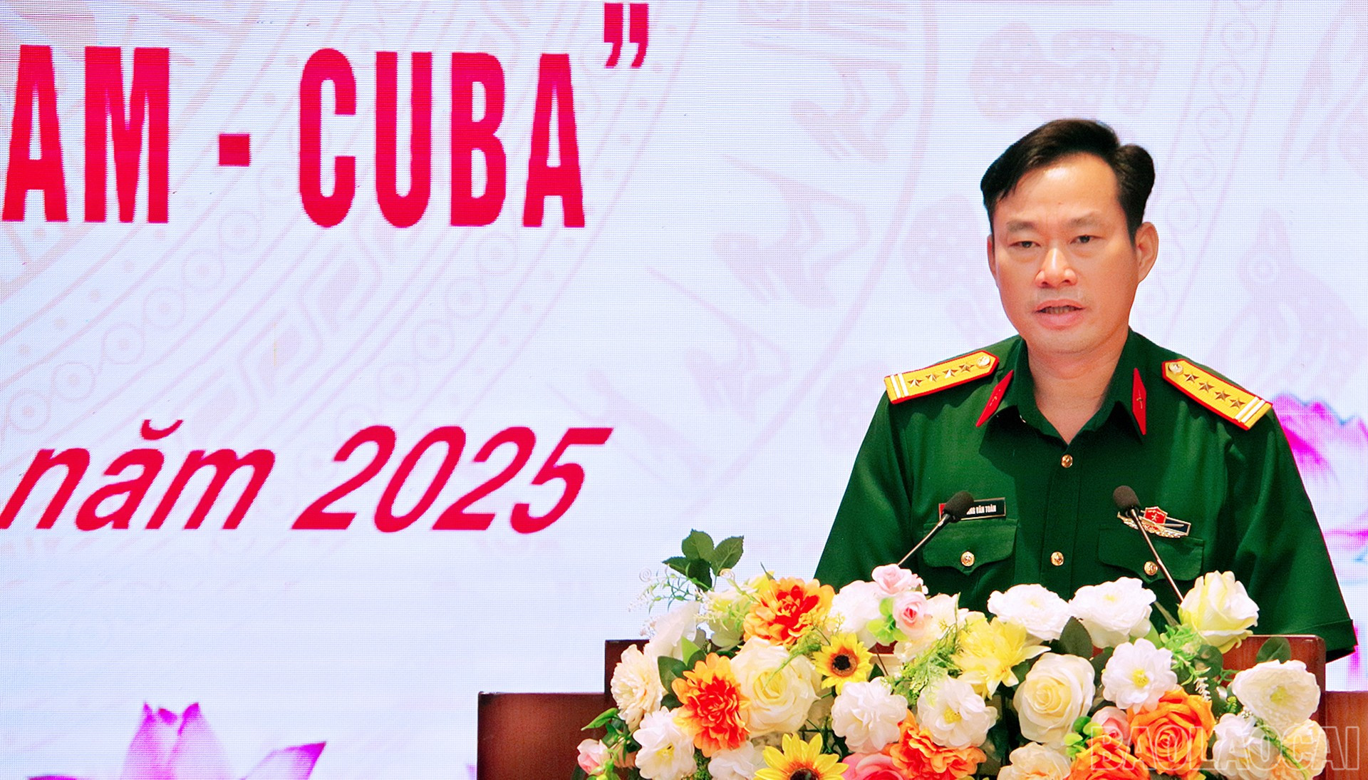 baolaocai-br_anh-2.jpg